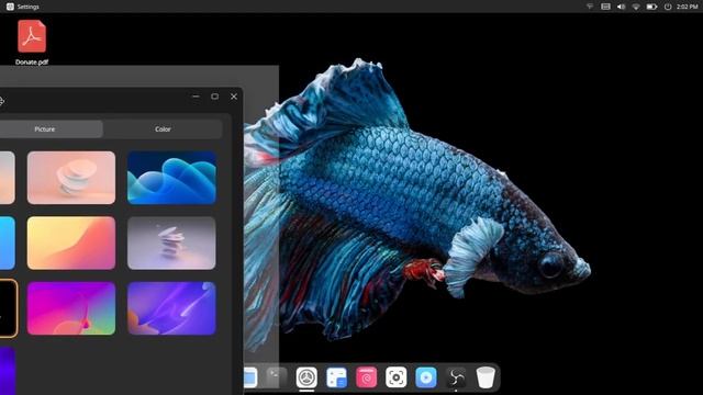 Cutefish Os نگاهی به توزیع کیوت فیش او اس смотреть онлайн