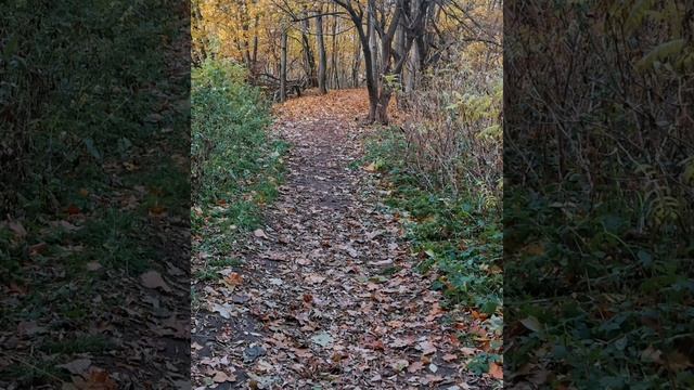 Весёлое настроение . Музыка Доренского . Дуэт баянистов . Амелия и Елена Баталовы . смотреть онлайн