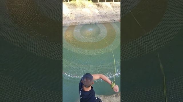 fishing nets | throw nets | cast nets | смотреть онлайн