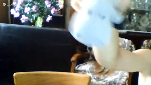 Копия видео begemot смотреть онлайн