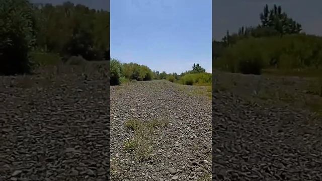 Всеми любимая речка Чарын. смотреть онлайн