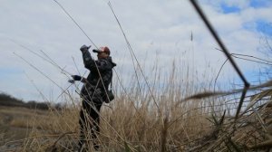 Ловля окуня на Flagman BlackFire 2024