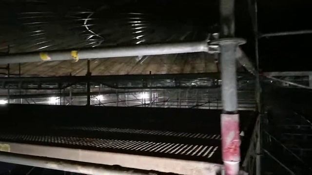 Scaffolding - follow me ! Первый подъем. смотреть онлайн
