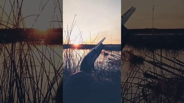 Весенняя охота 2023 смотреть онлайн