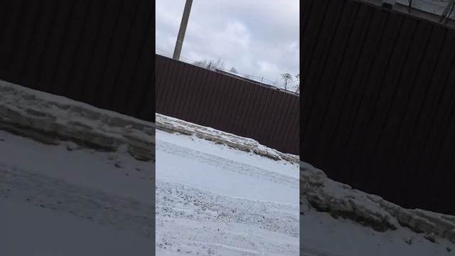 Начало строительства дома из профилированного бруса. Встречаем материал и бригаду смотреть онлайн