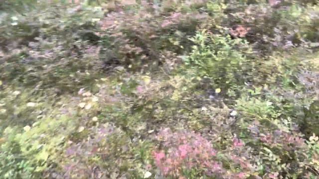 Тест. Норвегия. Подъем на гору. Номер 1. смотреть онлайн