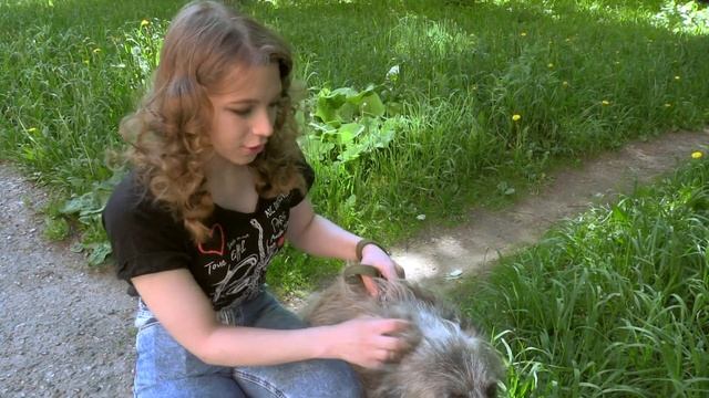 «Кто сказал ГАВ?» | Алёна Чикулаева смотреть онлайн