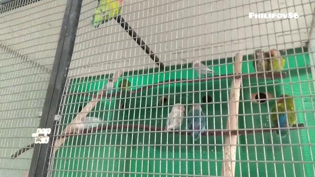 Станцию Юных Натуралистов Краснотурьинск смотреть онлайн