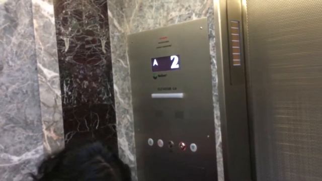 Поездка в Нью Йорк Влог Yanushevsky LIVE #7 #yanushevskylive смотреть онлайн