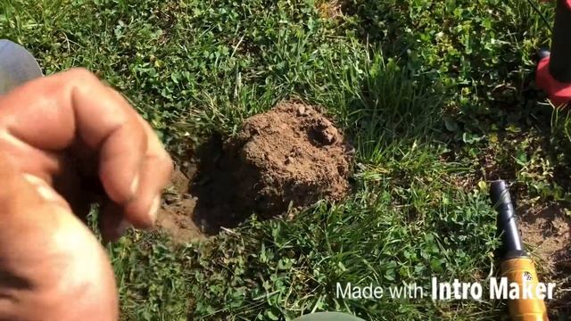 Minelab Vanquish 540