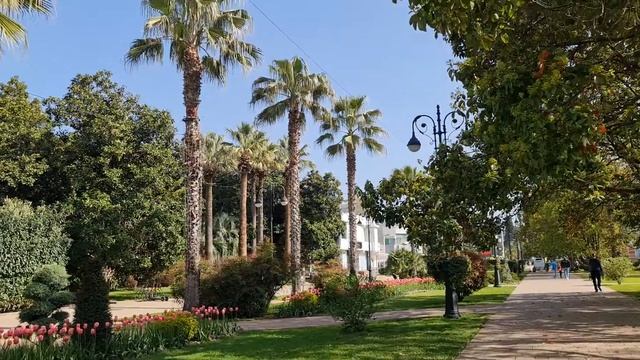 Сочи весной: Что и как 26 апреля на курорте?!