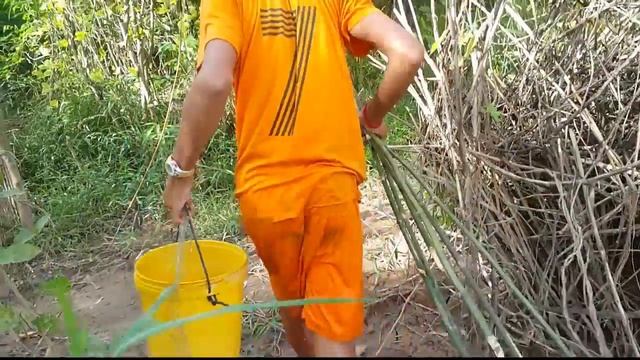Fishing, Cambodia Net Fishing, Catching Big Fish in The River, How To Catch Big Catfish - Baits смотреть онлайн