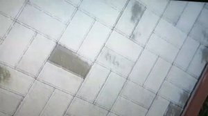 Экскурсовод Денис Зоткин