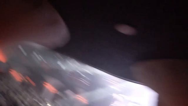 Тараканы! -  Я не верю(Киров-Gaudi)