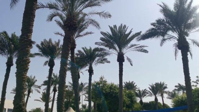 Ajman Hotel, сентябрь 2023.