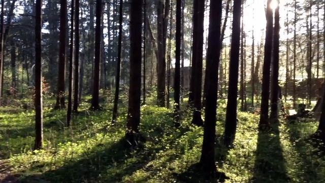 iPod Touch 5g Camera Test смотреть онлайн