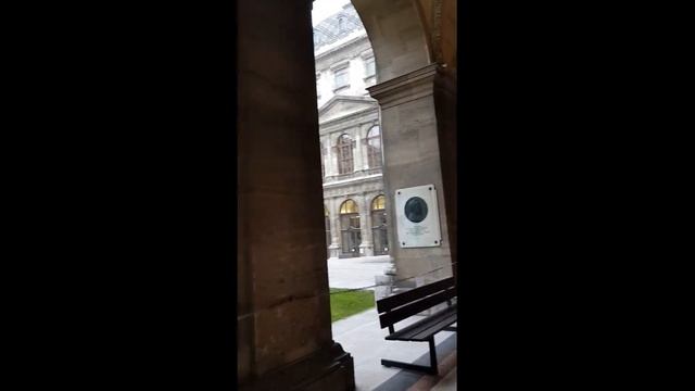 Венский Университет с Ириной Романенко смотреть онлайн