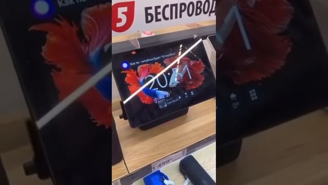 приколы смотреть онлайн