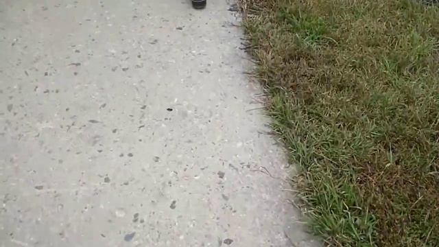 Кувака завод . смотреть онлайн