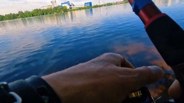 Ловим Окуней Удочки Донки Река Нева СПБ область.