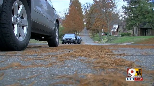 Vandals break windows in more than a dozen cars in Bond Hill смотреть онлайн