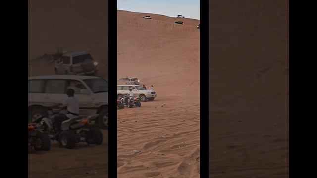 Desert Drive смотреть онлайн