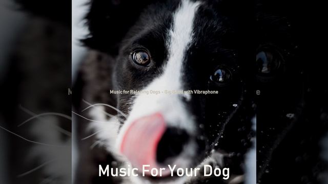 Vintage Dogs смотреть онлайн