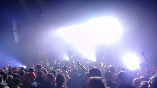 Кожаный Олень - жопа