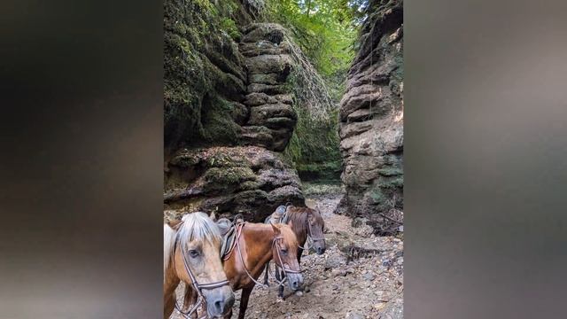 Абхазия 2023. Пицунда. Вершина Ацетук. Ущелье Бабы-яги. смотреть онлайн