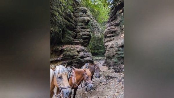 Абхазия 2023. Пицунда. Вершина Ацетук. Ущелье Бабы-яги.