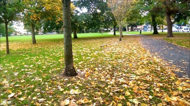 Kyosho Modelspace Hummer H1 Nitro RC смотреть онлайн