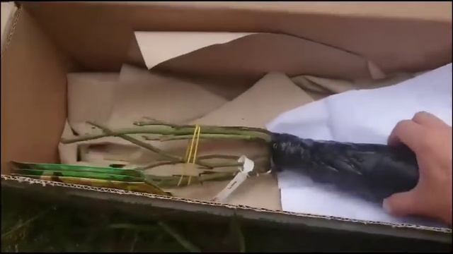 Отзыв о "Дом и Сад" Domicad.com.ua Распаковка смотреть онлайн