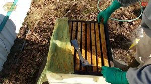 пчеловодство. неожиданный итог весенняя ревизия верхняя вентиляция