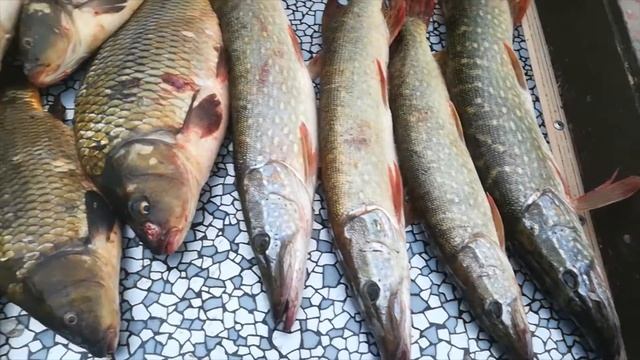 Три Пескаря смотреть онлайн