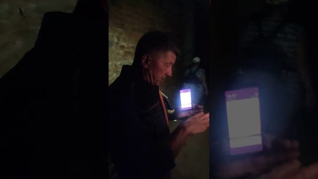 Экскурсия по дому купца Патрикеева смотреть онлайн