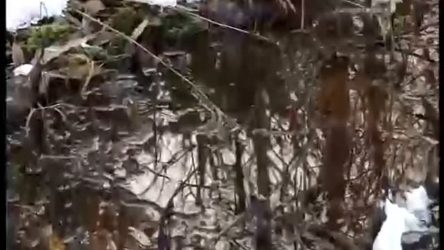 ВЕСТНИК СЕВЕРОДВИНСКА 2 ЧАСТЬ 2.11.12 ТРК СЕВЕРОДВИНСК смотреть онлайн