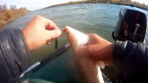 ловля судака на чёртик