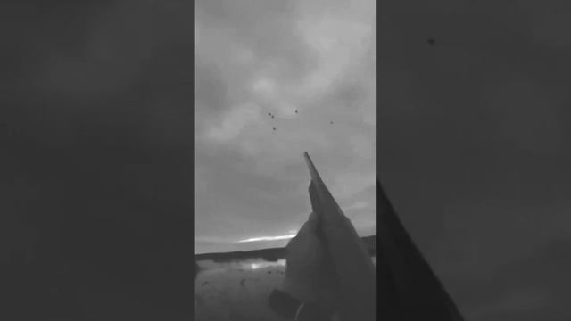 Impala Plus Ночная охота на утку смотреть онлайн