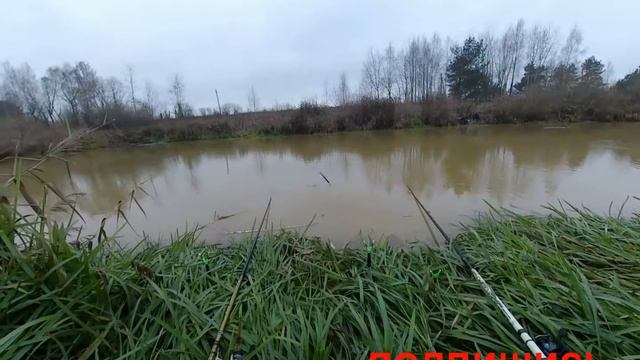 есть такое дело, крупный карась попался смотреть онлайн