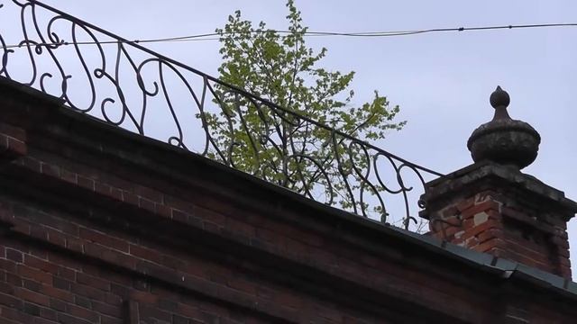 Белохолуницкий краеведческий музей к 75-летию Победы_5 смотреть онлайн