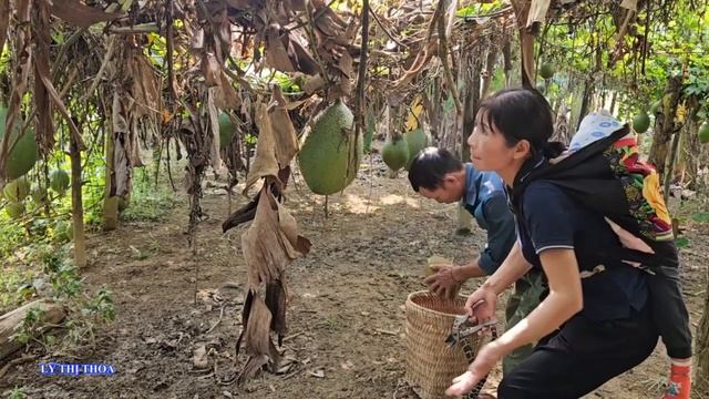 Full: 30 days harvesting with Dad after an unexpectedly emotional reunion, Dad builds a bamboo hous смотреть онлайн