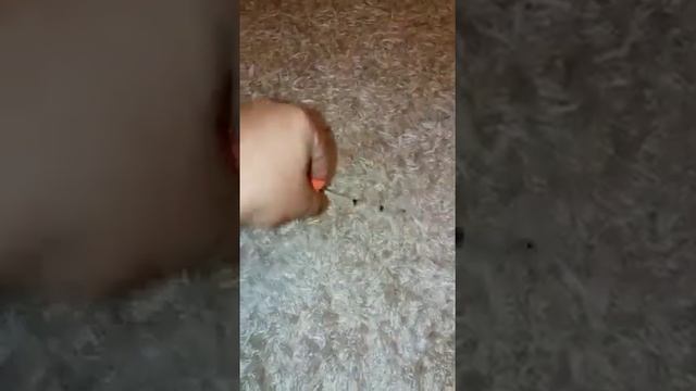 Зимняя удочка