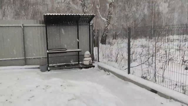 проверка дома для авито смотреть онлайн