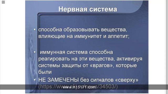 Продукты NSP зимой. Часть 1 смотреть онлайн