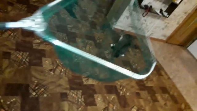 #Подсак для рыбы! смотреть онлайн