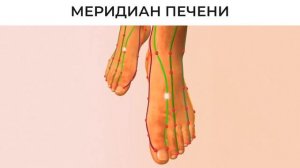 БодиХелс. Земная жила