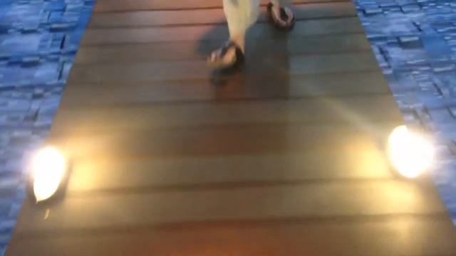 Museum Of Modern Art Rio Vlog(?) | Blue's Art Trips