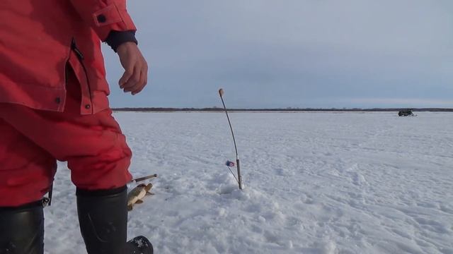 Успокаиваем невры на рыбалке смотреть онлайн