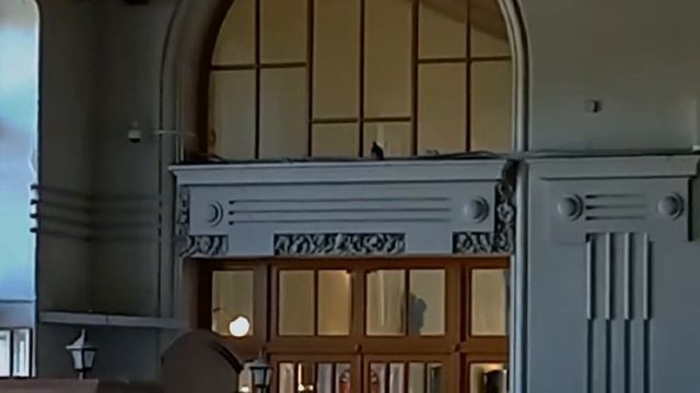 Самый красивый вокзал России. Витебский вокзал смотреть онлайн