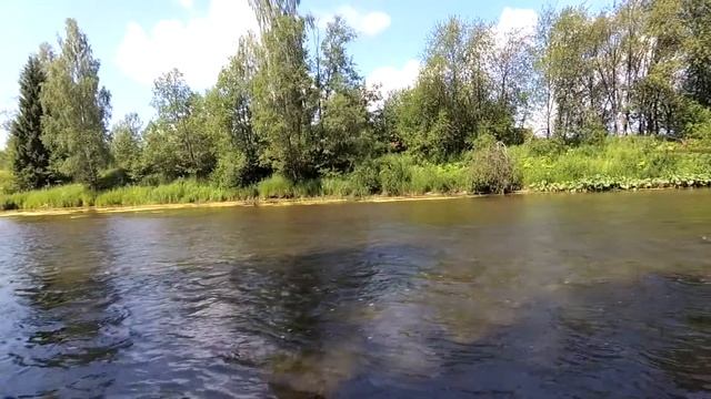 на пруду не клюёт, поехал на реку, а там два лосёнка. смотреть онлайн